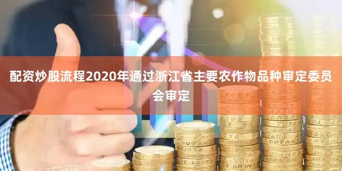 配资炒股流程2020年通过浙江省主要农作物品种审定委员会审定