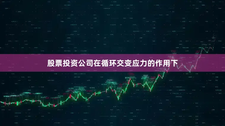 股票投资公司在循环交变应力的作用下