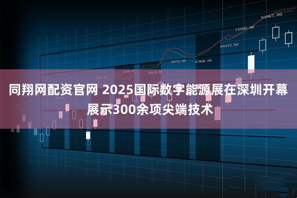 同翔网配资官网 2025国际数字能源展在深圳开幕 展示300余项尖端技术