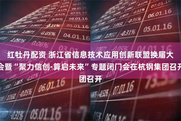 红牡丹配资 浙江省信息技术应用创新联盟换届大会暨“聚力信创·算启未来”专题闭门会在杭钢集团召开